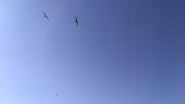 cielo i currently loving