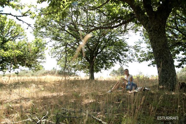 Plan slow para semana santa, excursión al campo, picnic a la sombra de un árbol
