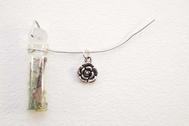 colgante terrario pasos