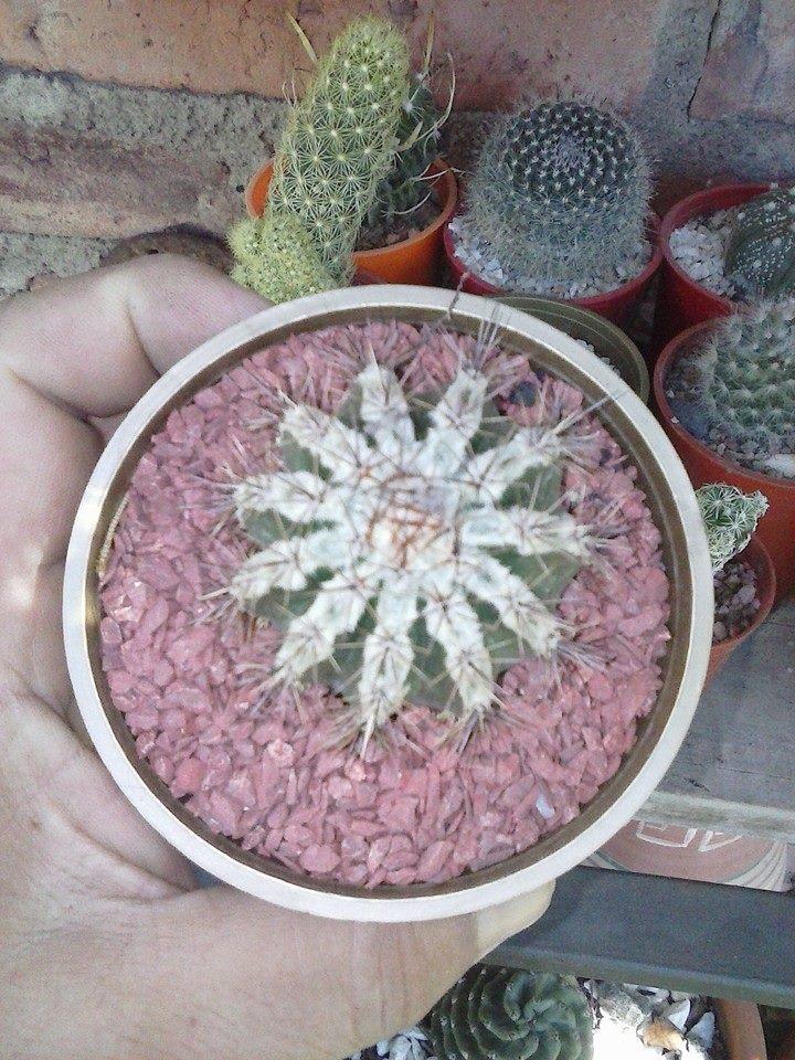 19119_370408736484342_5884024837909913966_n