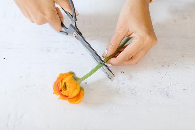 diy_una_caja_con_flores_Homelifestyle_a_pair_and_a_spare5