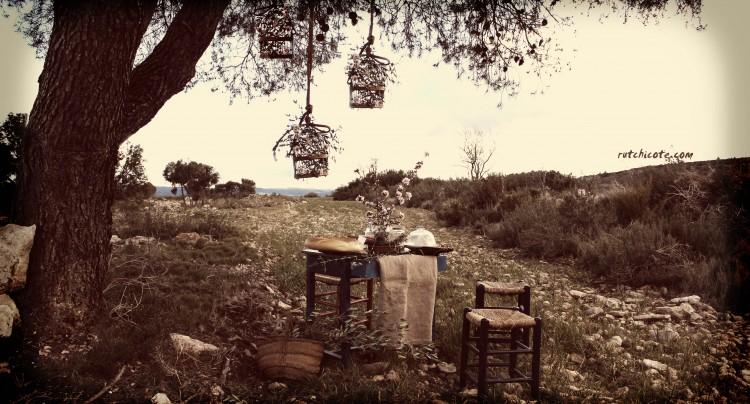 Diariodecoprimavera3