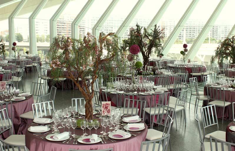 Boda Palau de les Arts