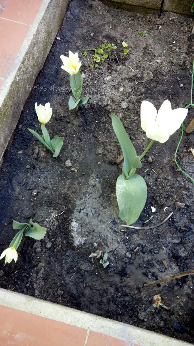 PicsArt_1427792743882