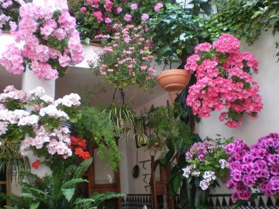 patio de córdoba
