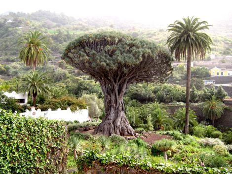 islas-canarias-itinerario-