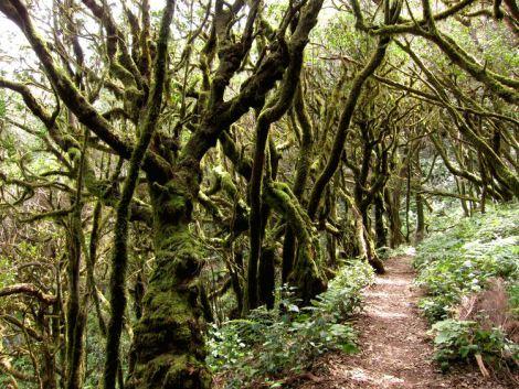 islas-canarias-itinerario-