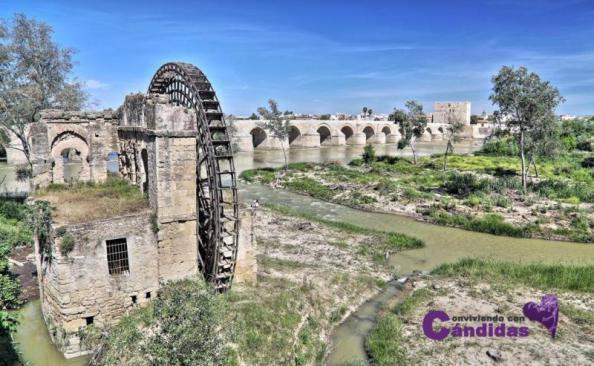 molino de córdoba