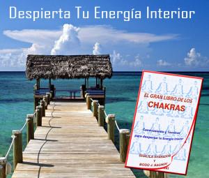 EL GRAN LIBRO DE LOS CHAKRAS banner