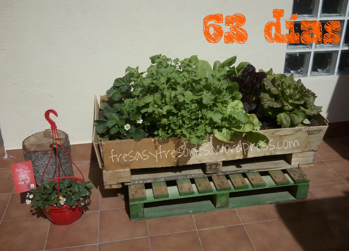 PicsArt_1428395767098