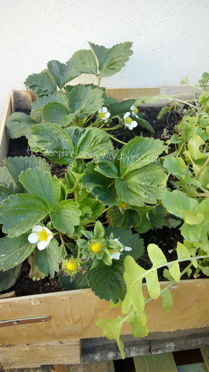 PicsArt_1428395601562