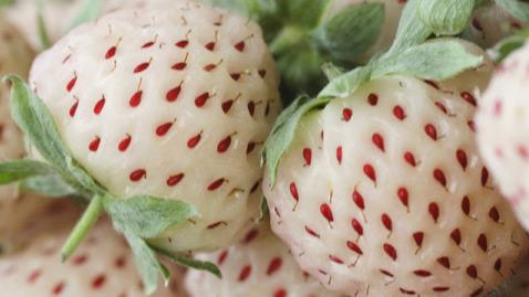 Fresas blancas Pineberry