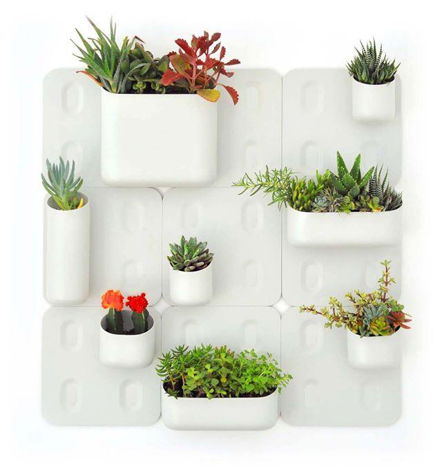 Jardín-vertical-soporte 10