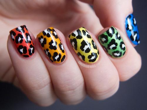 Animal print leopardo de colores
