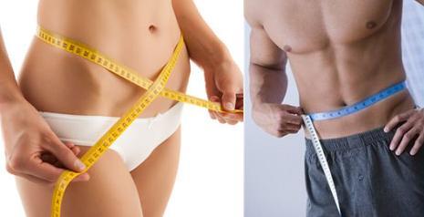 programa de perdida de grasa