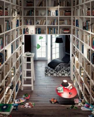 Beautiful-Home-library-design-ladder