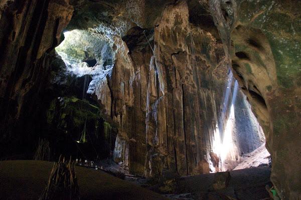 Cuevas Gomantong, viajes y turismo