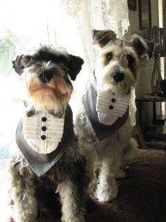 5ee575c507672383e33b415e90763e99