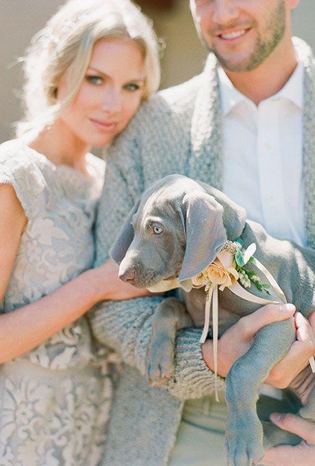 264e2411b8d46729af438bfe2efc7d61