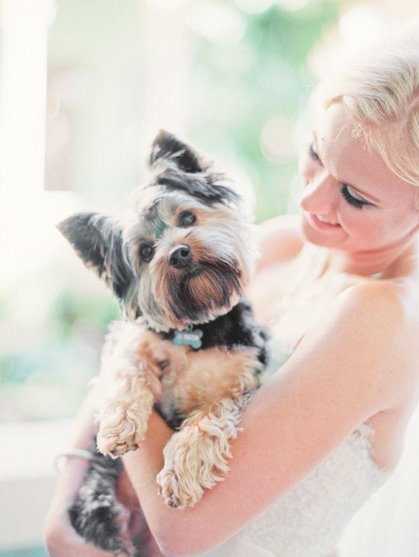 6173a801d2ab2d8576959c2b48958c26