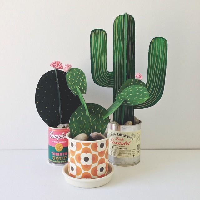 flores y plantas en casa, cactus