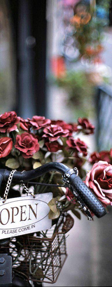 inspiracion primavera 170415