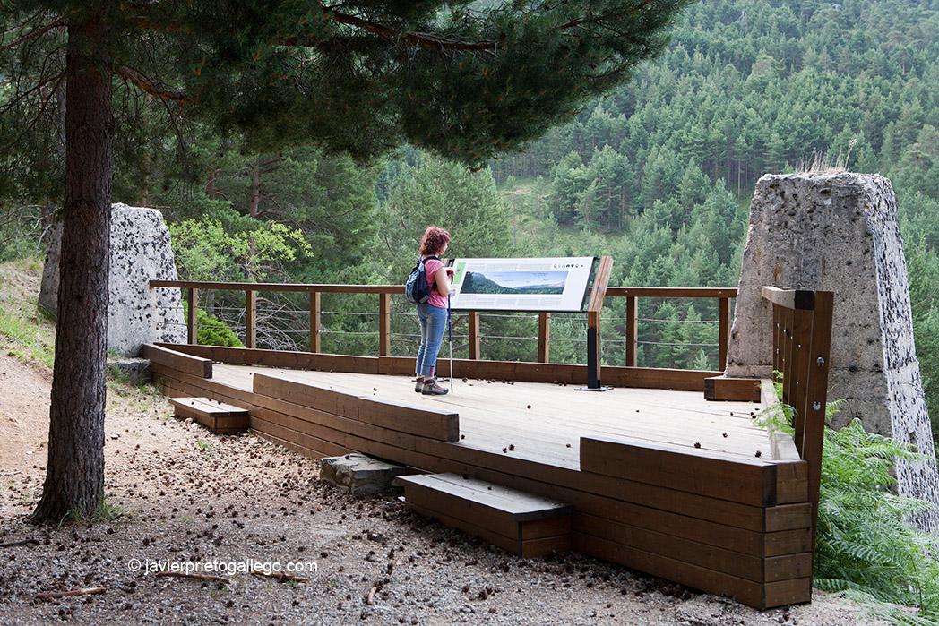 Senda de El Pinar de Velilla. Velilla del Río Carrión. Palencia. Castilla y León. España. © Javier Prieto Gallego