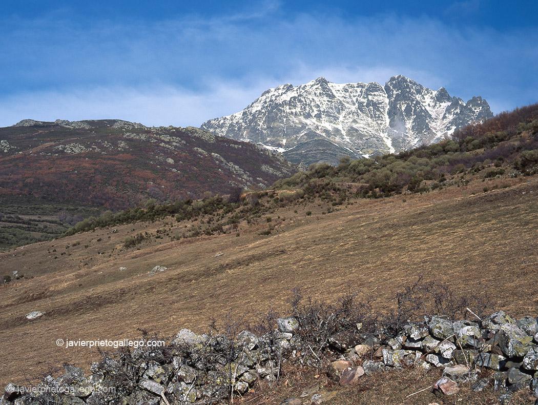 El Curavacas (2.520 m), una de las montañas emlblemáticas de la Montaña Palentina. Montaña Palentina. Palencia. Castilla y León. España. © Javier Prieto Gallego
