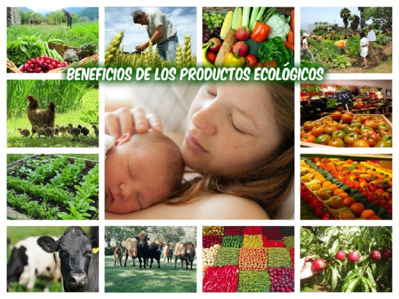 Collage_02_ecologico