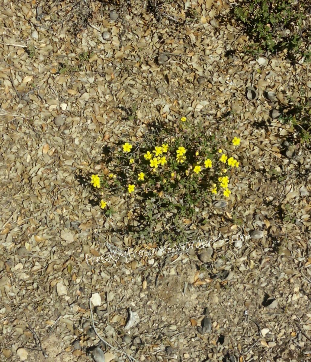 PicsArt_1428938288122