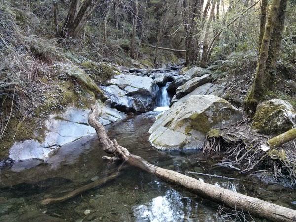 Escapada al Montseny