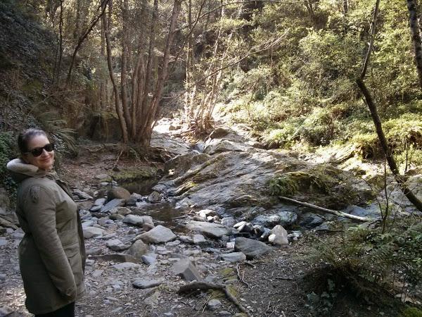 Escapada al Montseny