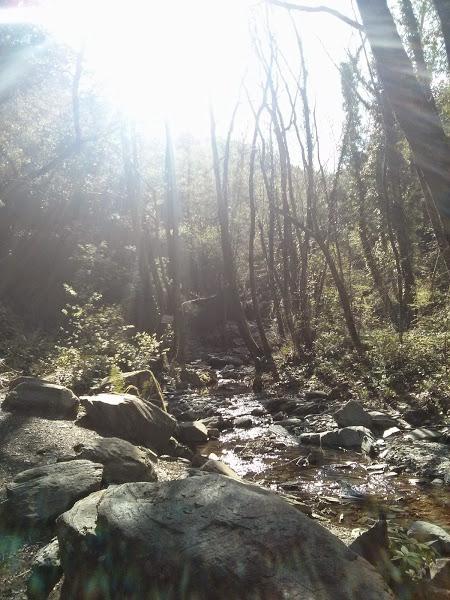 Escapada al Montseny