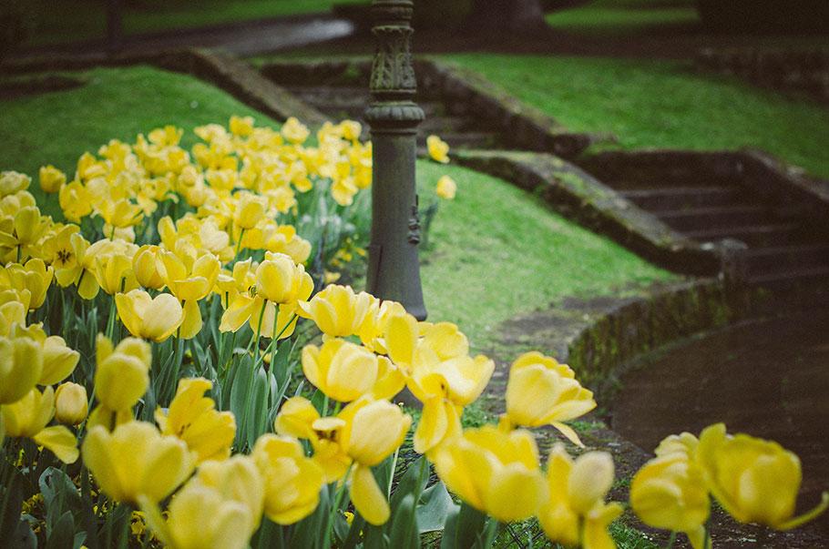 Oviedo en PuntoMOM - Lilu and Me