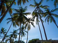 Posada Granja El Ojito