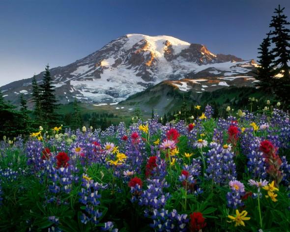 Fotografia-de-Paisaje-Natural-6