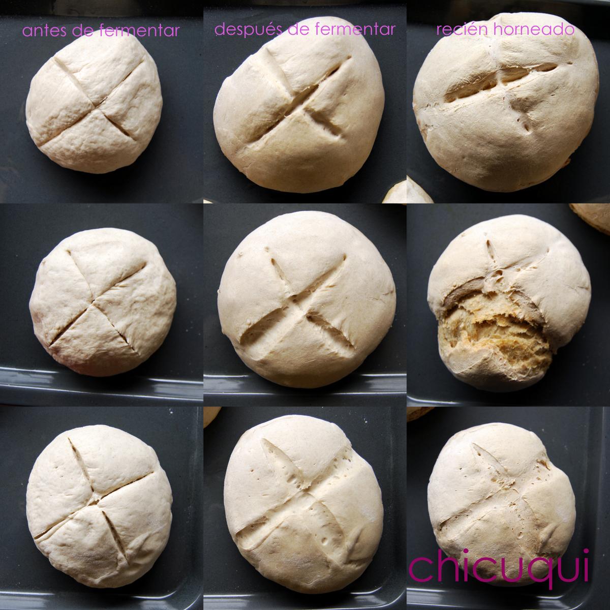 receta pan casero rustipo campagne galletas decoradas chicuqui 