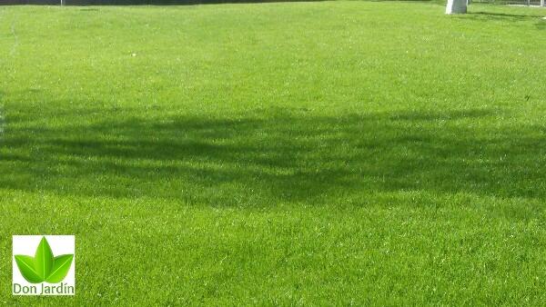 Mantenimiento en Las Tablas 