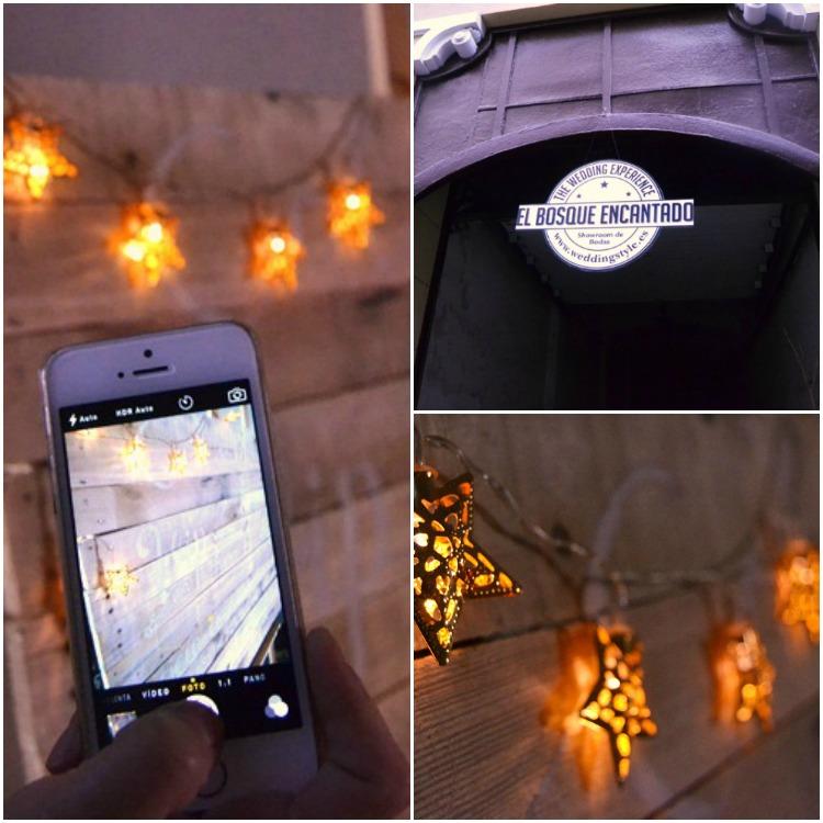 El bosque encantado. El Balcon de Alicia (12)