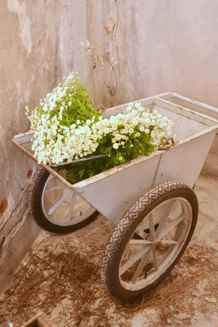 El bosque encantado. El Balcon de Alicia (50)