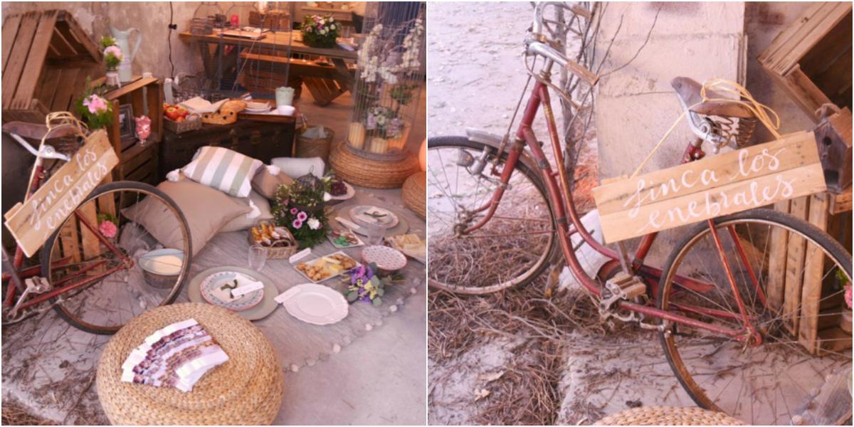 El bosque encantado. El Balcon de Alicia 008