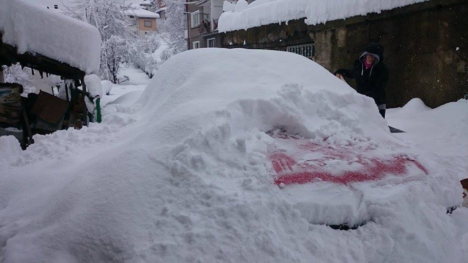 10660462_10204885671967069_450090380_n