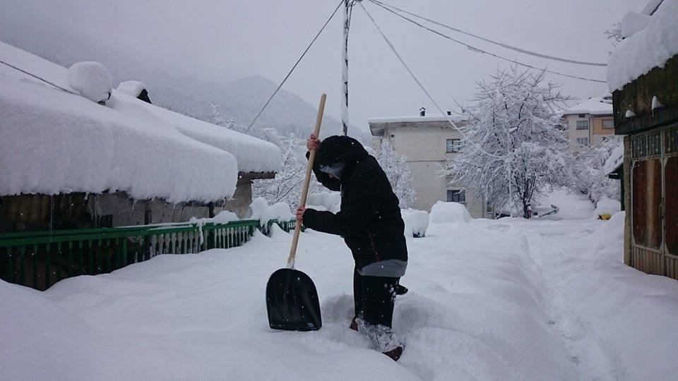 11042313_10204885672167074_966566580_n