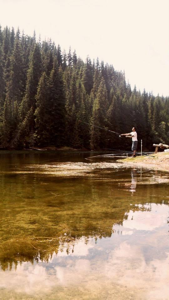 10508579723_981e75bbbf_o