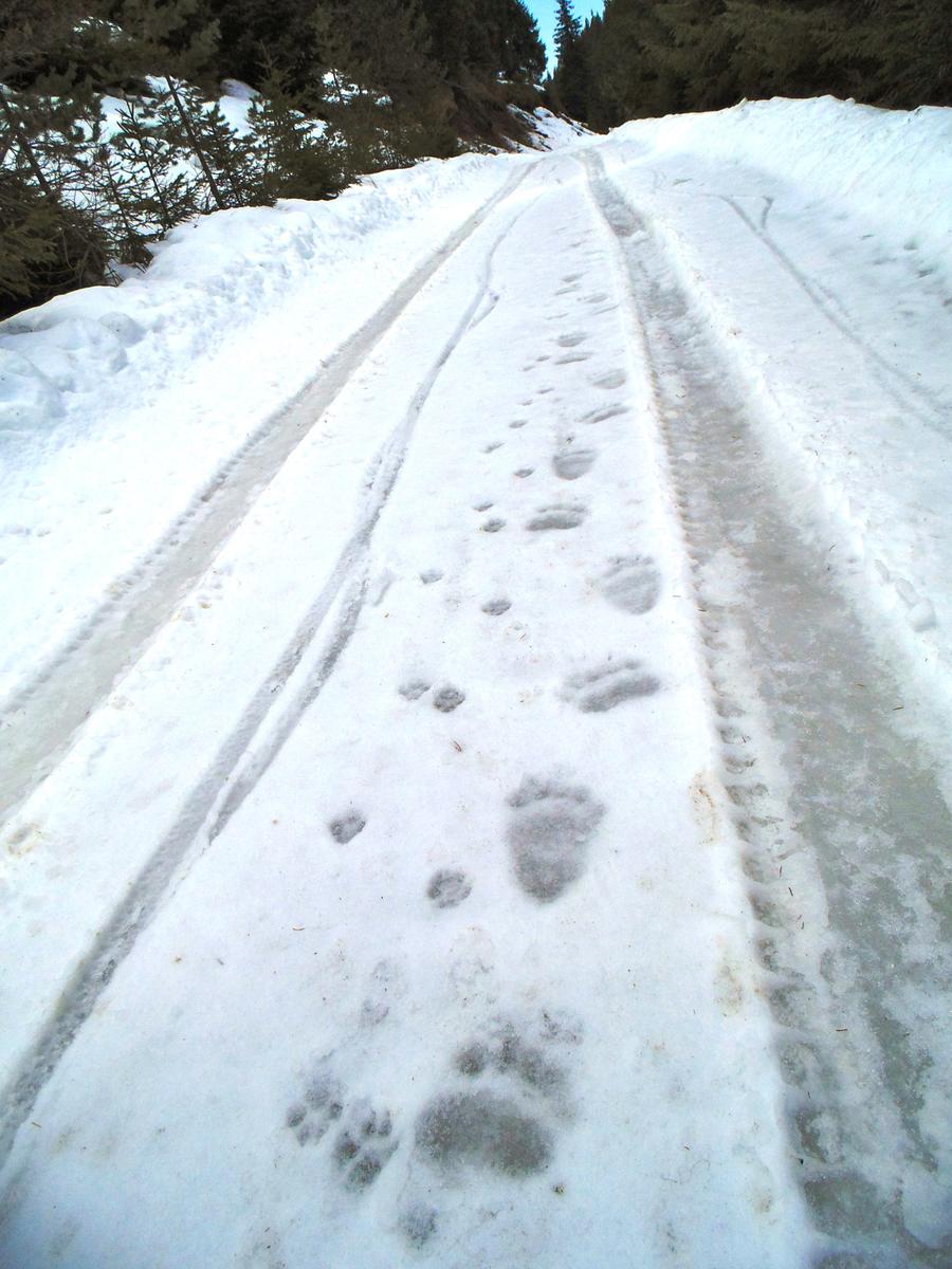 13545263284_8ff38ccd49_o