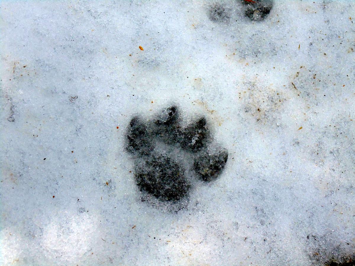 13544949685_9692097e5c_o