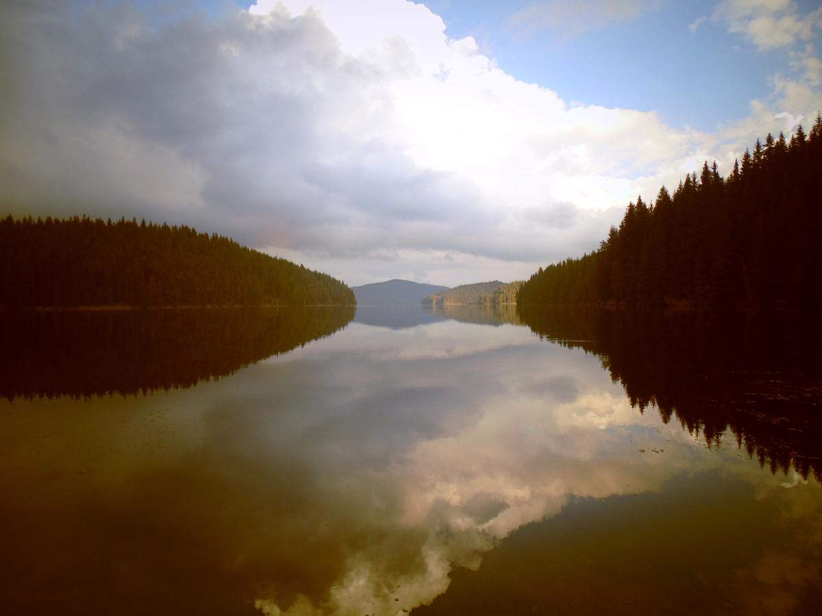 ???????????????????????????????