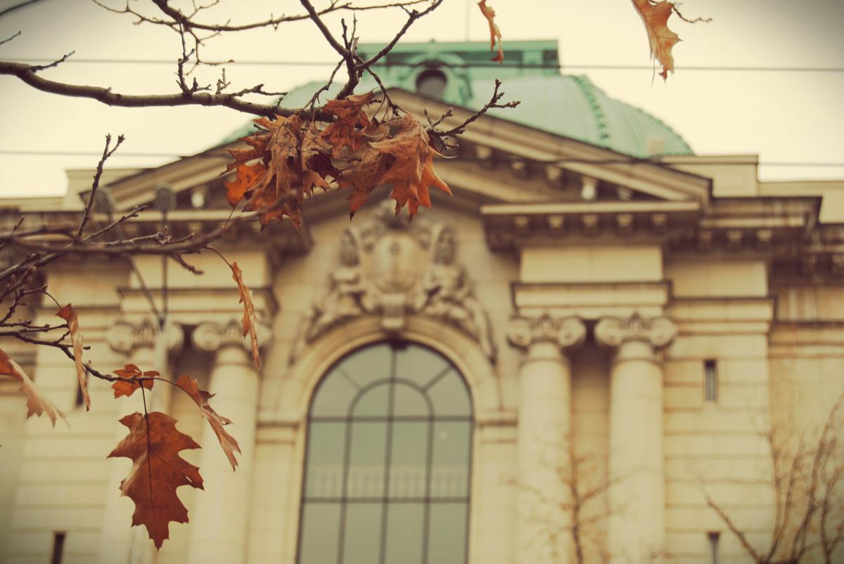 15554484959_581e641c37_o