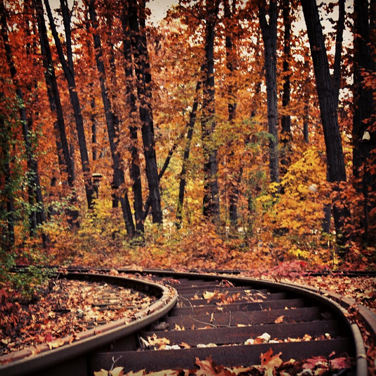 15563031489_d709c09b17_o