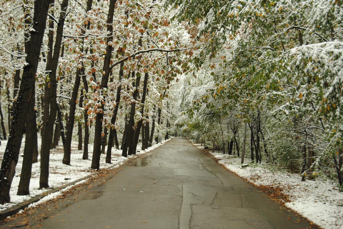 15005828903_8d09b62b5c_o